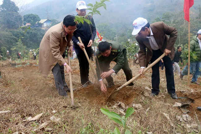 Các lực lượng chức năng tham gia trồng cây phủ xanh đất trống đồi núi trọc tại Bảo Hà  - Lào Cai.