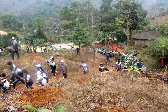 Lãnh đạo tỉnh Lào Cai và huyện Bảo Yên tham gia trồng cây.