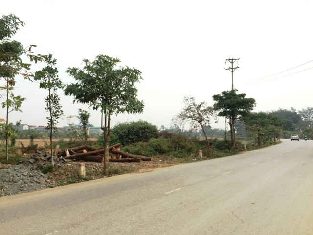 Thửa đất người dân mua 10 năm nay nhưng không được chính quyền huyện Thạch Thất bàn giao