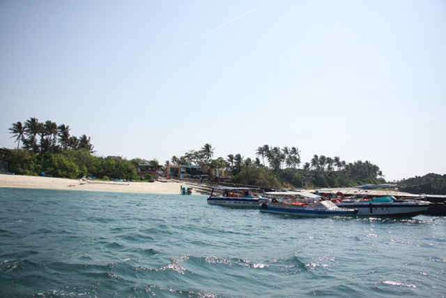 Một góc khu bảo tồn biển Lý Sơn