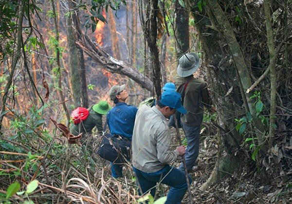 Các lực lượng tham gia chữa cháy rừng tại bản Nậm Poọng xã Mường Đăng, huyện Mường Ảng