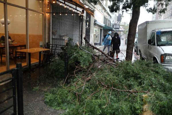 Cành cây bị gió và mưa quật ngã bên ngoài một nhà hàng ở Los Angeles. Ảnh: REUTERS / Lucy Nicholson