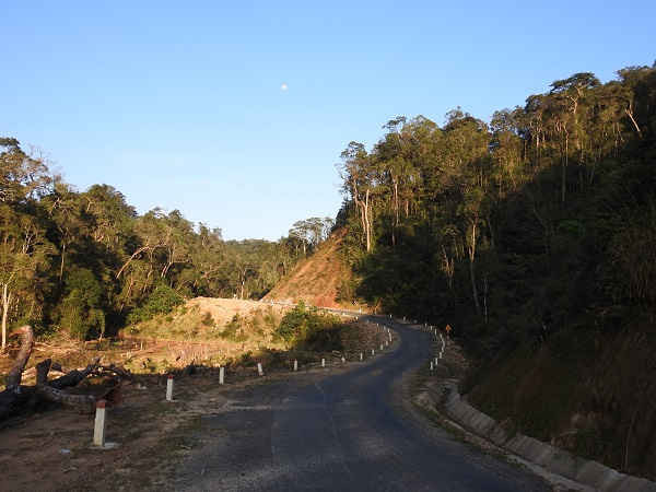 Rừng bị phá bên cạnh đường giao thông từ xã Mang Cành, Kon Plông đi đường Trường Sơn Đông.