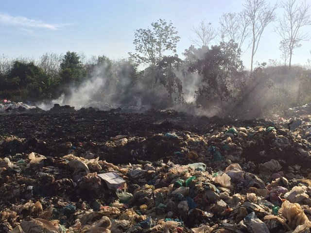 Do số lượng rác lớn, HTX phải đốt sống chứ không dùng lò nên thải ra môi trường nhiều khí độc