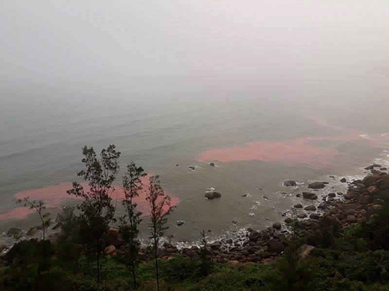 Sáng hôm nay (23/2) vệt nước màu đỏ nhạt xuất hiện tại khu vực đầm Lập An – Lăng Cô