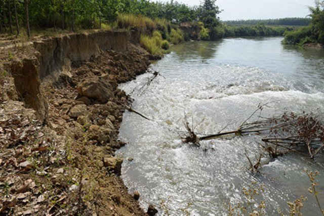 Bờ sông bị sạt lở mất nhiều diện tích đất và cây trồng của người dân