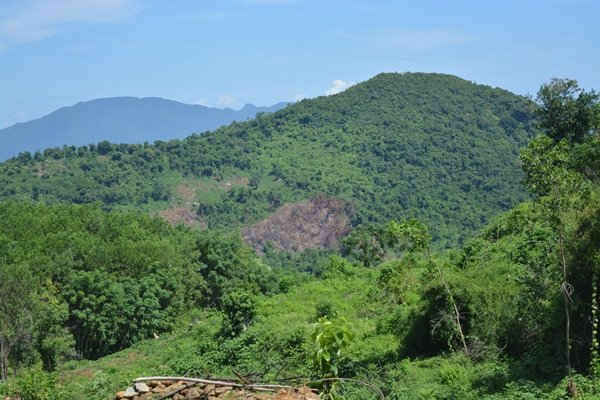 Nếu không có biện pháp bảo vệ hiệu quả thì chỉ vài năm nữa hàng trăm héc ta rừng phòng hộ ở Thăng Bình, Quảng Nam sẽ chỉ còn là đồi núi trọc