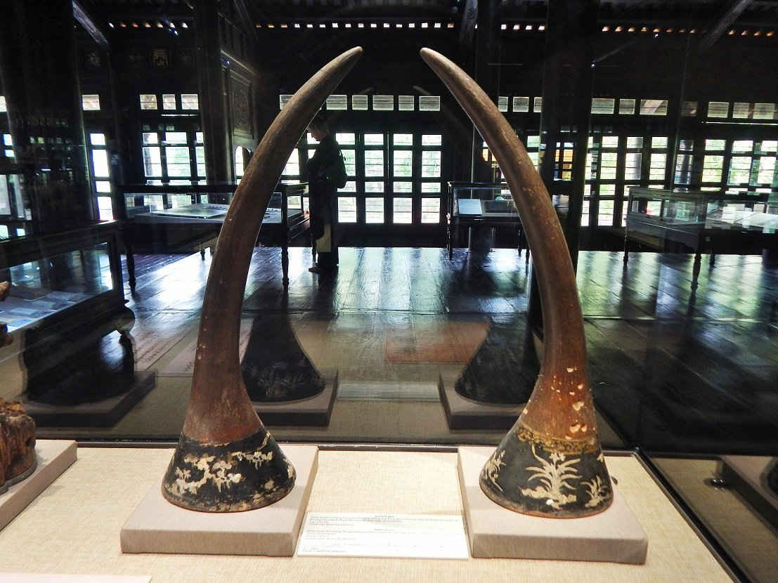Sừng tê giác ở Đàng Trong là một trong những mặt hàng được thương nhân Nhật Bản thời kỳ thương mại châu ấn thuyền tìm mua để nhập khẩu vào Nhật Bản