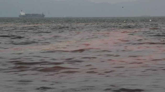 Lại xuất hiện vệt nước đỏ tại biển Nguyễn Tất Thành, tuy nhiên trước đó, vệt nước đỏ tại bãi Nam (Bán đảo Sơn Trà) là ấu trùng của ruốc