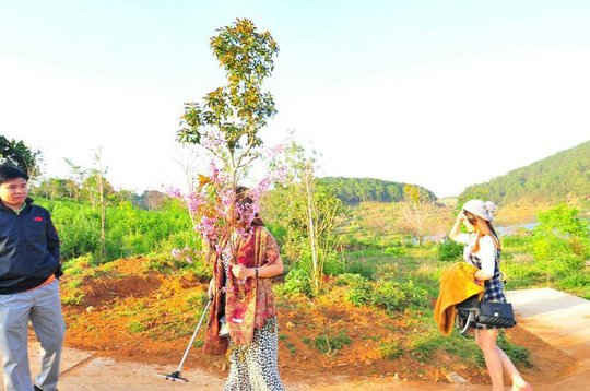 Bà Phạm Thị Minh Hiếu và cành hoa mai anh đào bị bẻ tại Hồ Tuyền Lâm, Đà Lạt