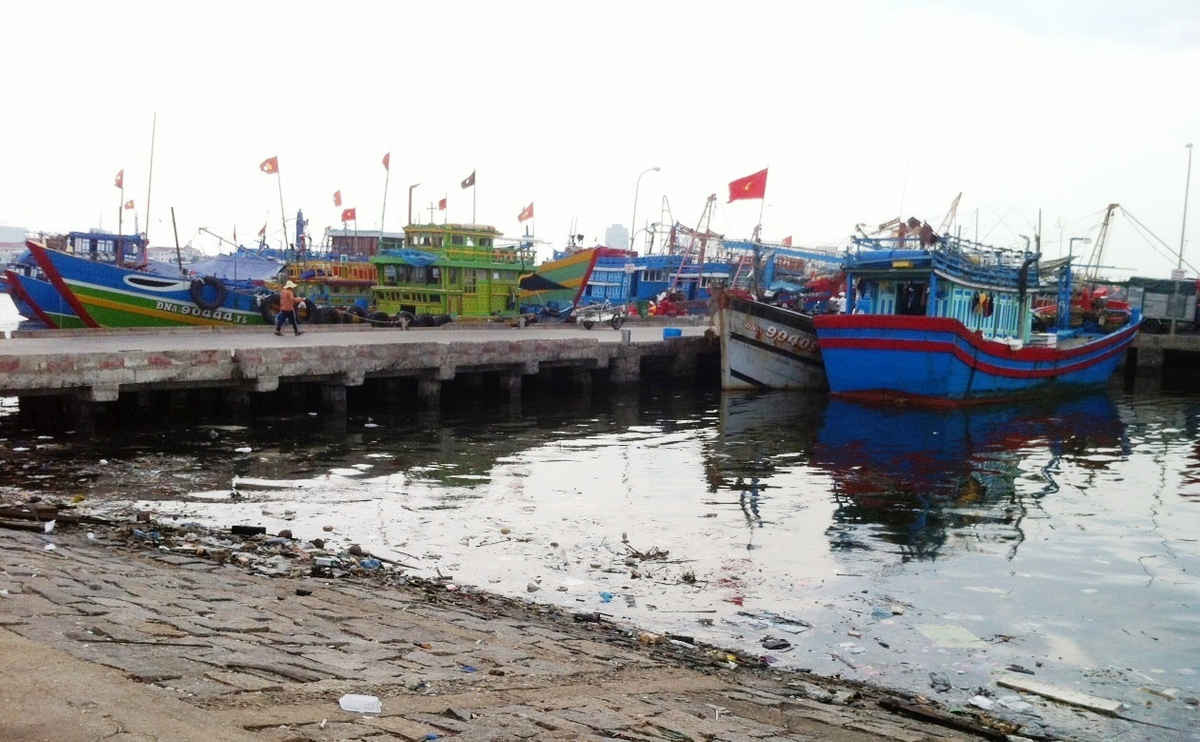 Với phương án của UBND thành phố, “điểm nóng” môi trường tại Âu thuyền và Cảng cá Thọ Quang dần bớt ô nhiễm
