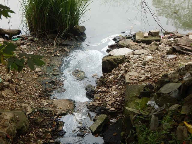Nước xả thải trực tiếp chưa qua xử lý của cơ sở sản xuất bún đã khiến dòng sông ngày càng ô nhiễm