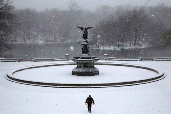 Một người đàn ông đi bộ trong công viên Central Park khi tuyết rơi ở Manhattan, New York. Ảnh: REUTERS / Andrew Kelly