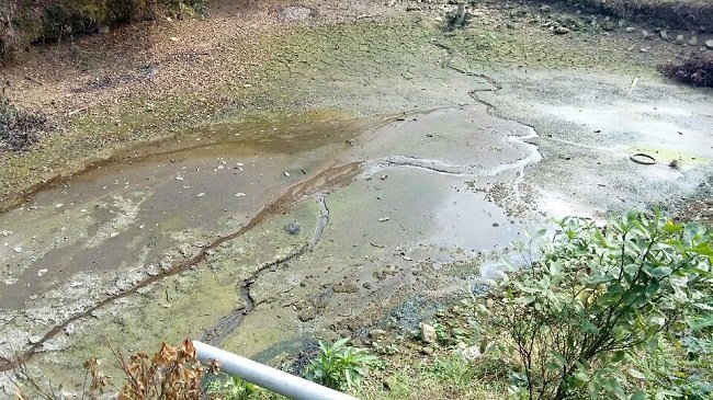 Hiện trạng con mương chứa nước tưới tiêu cho thôn 5, xã Xuân Giao gần khu vực Nhà máy Phốt pho 4