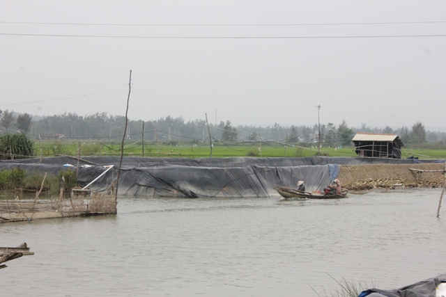 Sông Kinh giờ chỉ rộng khoảng 10m, lại thêm ô nhiễm trầm trọng và vắng bóng cá tôm