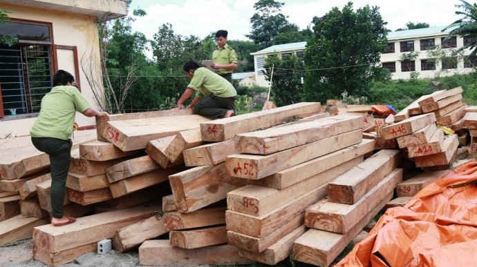 Lực lượng chức năng tỉnh Quảng Nam phối hợp với tỉnh Sê Kông làm rõ vụ chặt phá rừng Pơmu nghiêm trọng xảy ra hồi tháng 7/2016 trên địa bàn vùng giáp gianh giữa 2 tỉnh