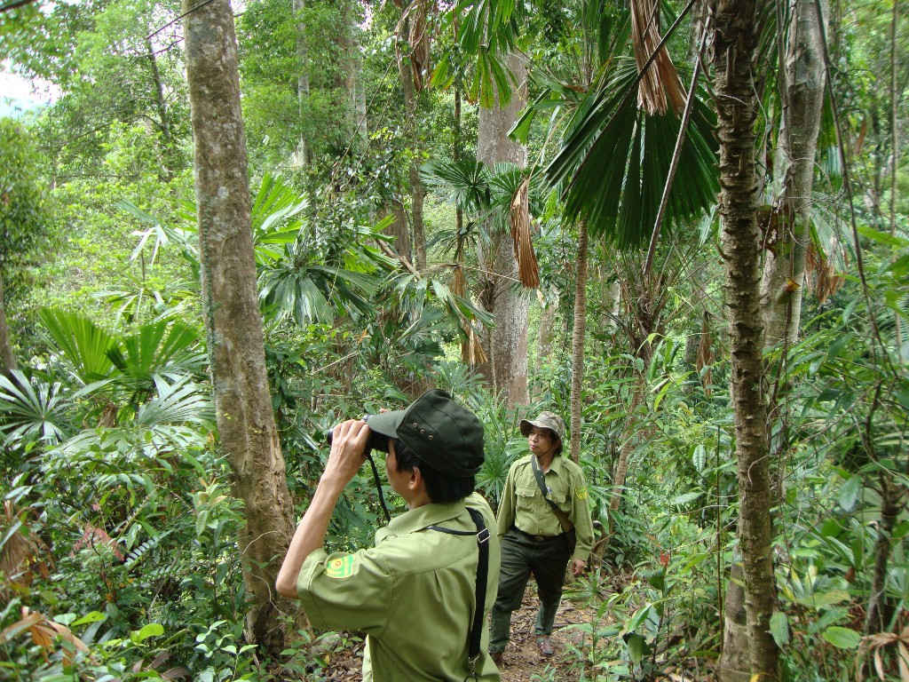 Quảng Nam đang nỗ lực bảo vệ rừng, hệ sinh thái rừng