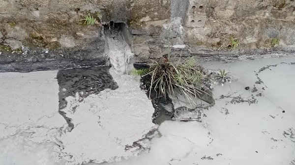 Nước thải của Cty Hồng Phúc gây ô nhiễm môi trường