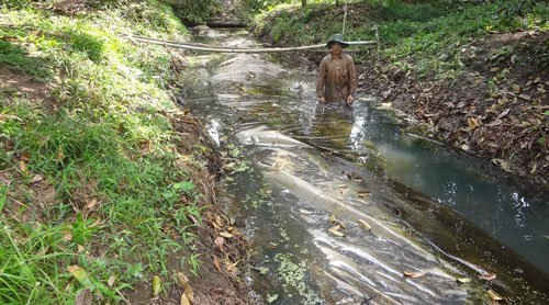 Túi trữ nước ngọt của người dân xã Thanh Bình, huyện Vũng Liêm, tỉnh Vĩnh Long dùng trong mùa hạn, mặn.