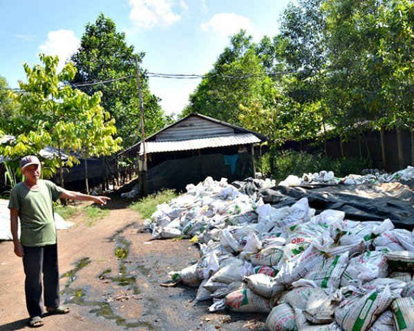 Gần 10 tấn phân gà phơi ngoài trời, nước chảy lênh láng, gây nên mùi hôi thối ở trang trại Mai Thùy xã Đá Bạc, huyện Châu Đức.  Ảnh: Minh Tâm