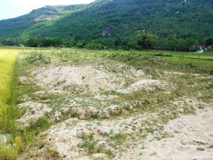 Nhiều diện tích đất canh tác lúa tại cánh đồng Hóc Công bị phủ dày bởi đất, cát tràn từ khu vực mỏ đá của Công ty TNHH Hoàn Cầu Granite.