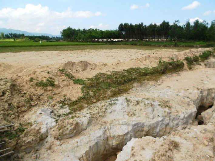 Nhiều diện tích đất canh tác lúa tại cánh đồng Hóc Công bị phủ dày bởi đất, cát tràn từ khu vực mỏ đá của Công ty TNHH Hoàn Cầu Granite.