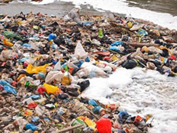 Rác thải nhựa đang là một trong những thủ phạm hàng đầu cho tình trạng ô nhiễm môi trường hiện nay