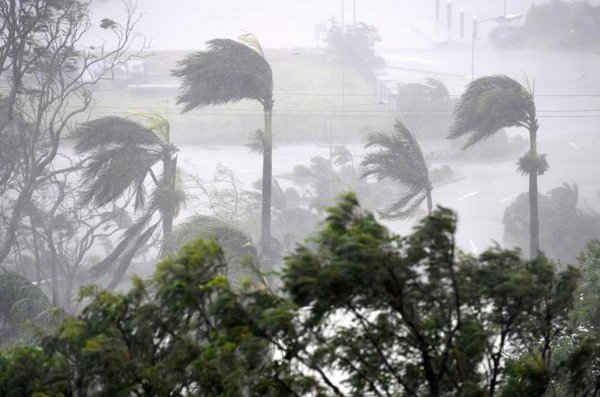 Gió mạnh và mưa lớn do bão Debbie phá hủy nhiều cây cối ở bãi biển Airlie, phía Nam thành phố Townsville của Australia vào ngày 28/3/2017. Ảnh: AAP / Dan Peled / REUTERS