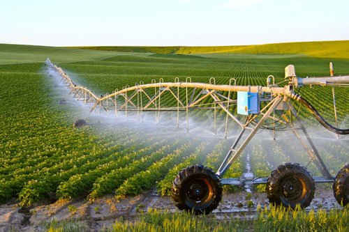 Sản xuất nông nghiệp công nghệ cao tại Israel. Ảnh minh họa: Internet