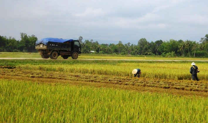 Sau khi “ăn đất”, xe ben chở đất chạy thẳng về tỉnh lộ 639 rẽ hướng về Tây Sơn để tiêu thụ.