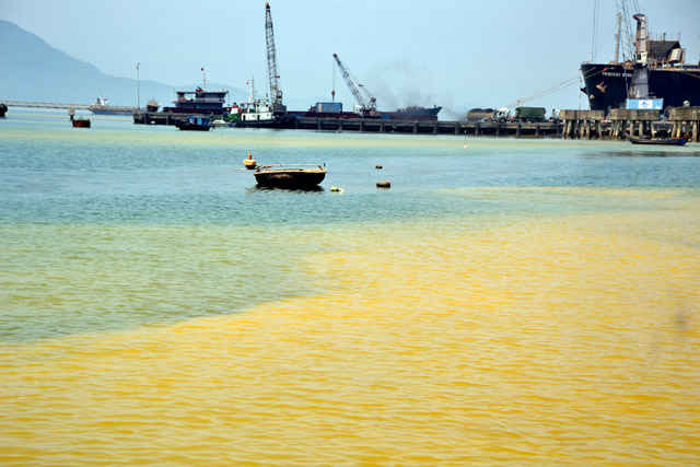 Vệt nước vàng xuất hiện ở vùng biển Cảnh Dương, Chân Mây (xã Lộc Vĩnh, huyện Phú Lộc, tỉnh Thừa Thiên Huế) trong 2 ngày 23 và 24/3
