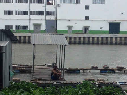 Nhiều hộ dân ở ấp Phú Xuân, thị trấn Mái Dầm không dám nuôi cá ở lồng bè vì sợ nguồn nước thải của Nhà máy giấy Lee&Man gây ô nhiễm nguồn nước. 