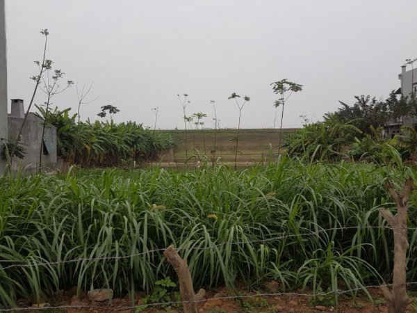 26 hộ dân xã Phú Đa bỗng nhiên mất đất khi chính quyền xã làm liều