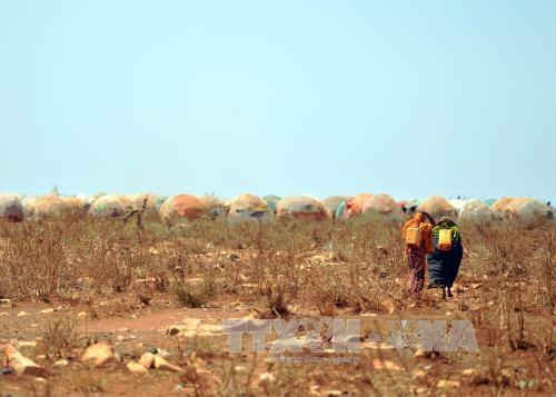 Tình trạng khô hạn tại Baidoa, Somalia. Ảnh: AFP/TTXVN