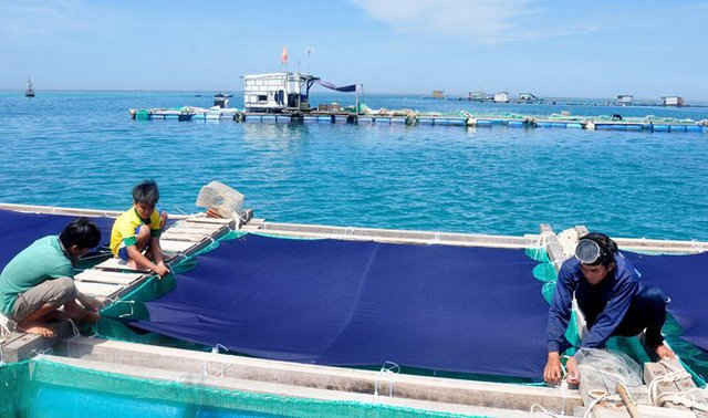 Nước thải từ hoạt động nuôi trồng thủy sản tự phát đang gây áp lực đối với môi trường ven biển