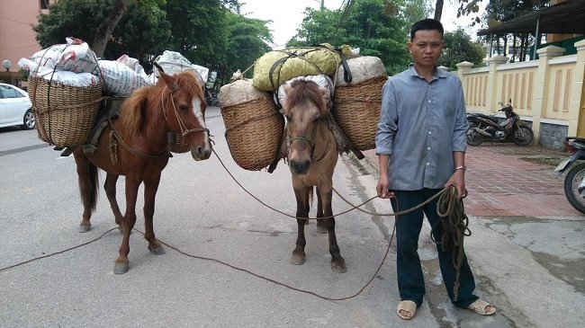 Đối tượng Lò Văn Thanh 