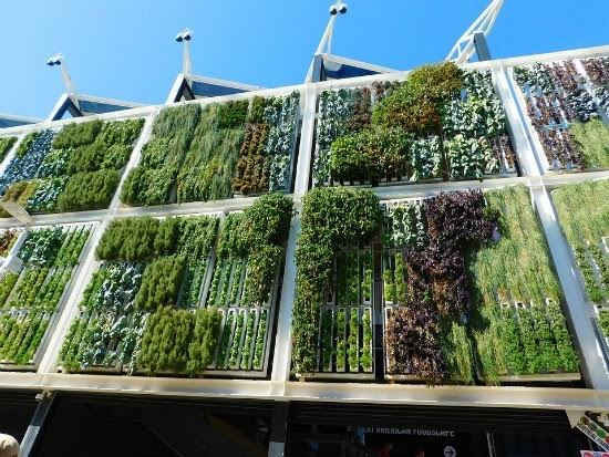 Các tòa nhà tại Singapore ứng dụng thành công công nghệ tưới nước nhỏ giọt tại ban công, tạo môi trường sống xanh, tiết kiệm năng lượng và bảo vệ môi trường.