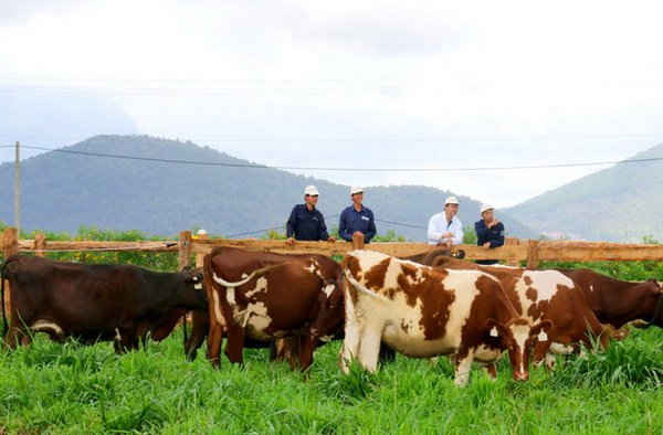 Các trang trại của Vinamilk có quy mô rất lớn với số lượng bò lên tới hàng chục ngàn con. Vấn đề kiểm soát bảo vệ môi trường luôn là mối quan tâm hàng đầu của Vinamilk