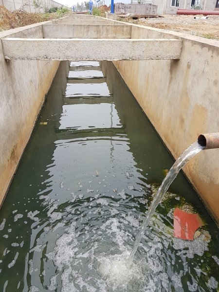 Hệ thống cống rãnh xả thải ra lưu vực sông Tam Điệp của Nhà máy xi măng Long Sơn chưa có giấy phép