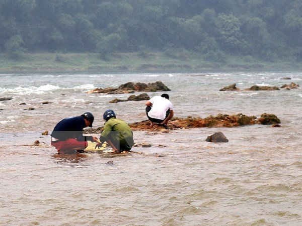 Bất chấp nguy hiểm, nhiều người xuống dòng sông Chảy đãi cát, bới sỏi để tìm đá quý. (Ảnh: Trung Kiên/TTXVN)