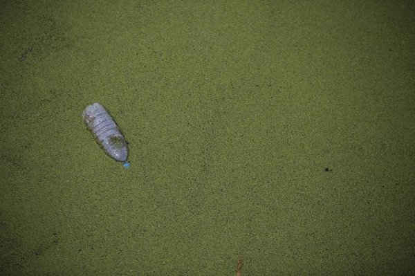 Một con sông bị ô nhiễm ở Thượng Hải, Trung Quốc vào ngày 21/3/2016. Ảnh: REUTERS / Aly Song