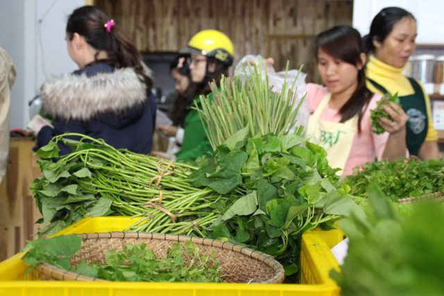Tập huấn kỹ thuật trồng rau an toàn, bảo vệ môi trường cho phụ nữ