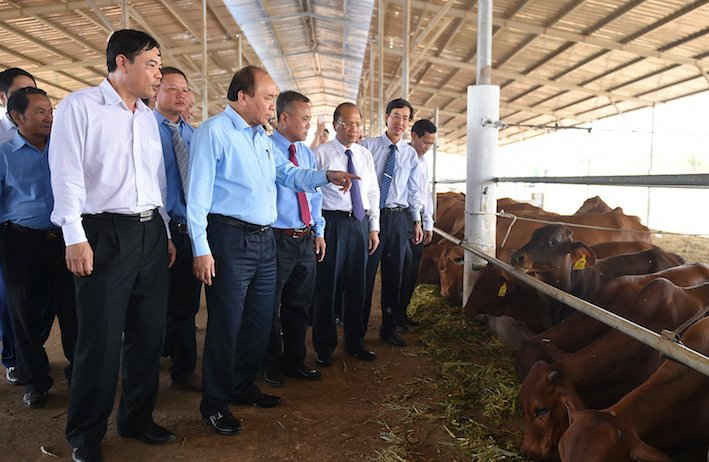Thủ tướng Nguyễn Xuân Phúc thăm khu phức hợp nông nghiệp công nghệ cao chăn nuôi bò và chế biến các sản phẩm từ sữa.