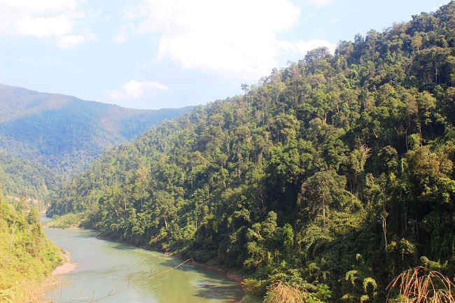 Nhờ chính sách chi trả DVMTR mà nhiều diện tích rừng của huyện Mường Tè được giữ vững góp phần quan trọng trong việc phòng hộ đầu nguồn sông Đà 