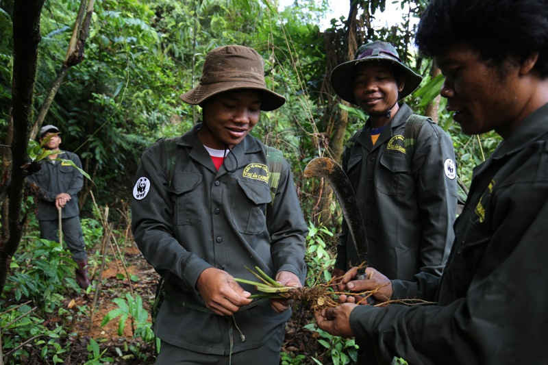 Đội Bảo vệ rừng cộng đồng tại xã A Roàng, huyện A Lưới, Thừa Thiên Huế trong một chuyến tuần tra bảo vệ rừng cộng đồng. Hoạt động được hỗ trợ bởi dự án CarBi