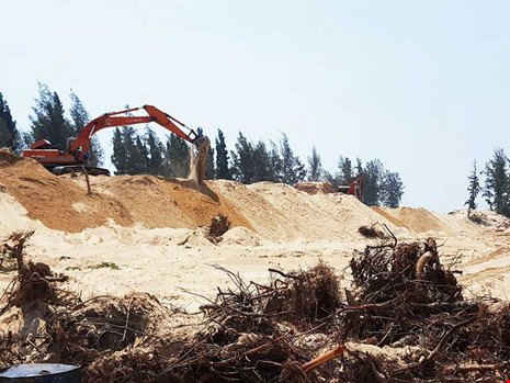 Dù chưa chuyển mục đích sử dụng nhưng rừng phòng hộ ven biển xã An Phú, TP Tuy Hòa (Phú Yên) bị ồ ạt chặt phá, san ủi.