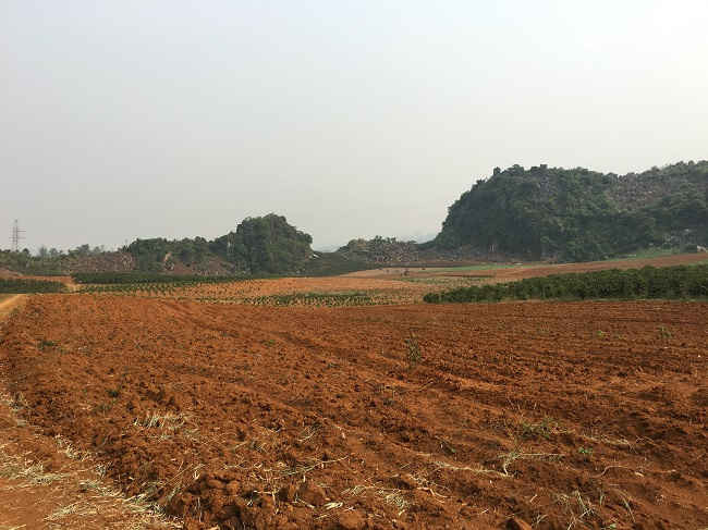 Khu vực đất nông nghiệp dự kiến sẽ thu hồi triển khai xây dựng Nghĩa trang nhân dân tỉnh Sơn La