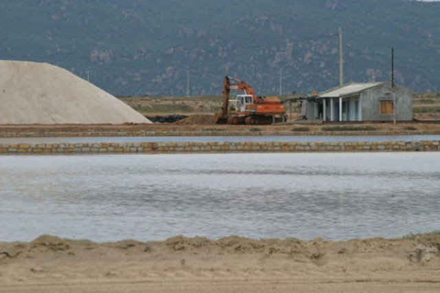 Ruộng muối Thông Thuận cao hơn mặt bằng khu dân cư rất nhiều, nên nước muối luôn thấm vào nhà dân, làm hư hao tài sản của dân