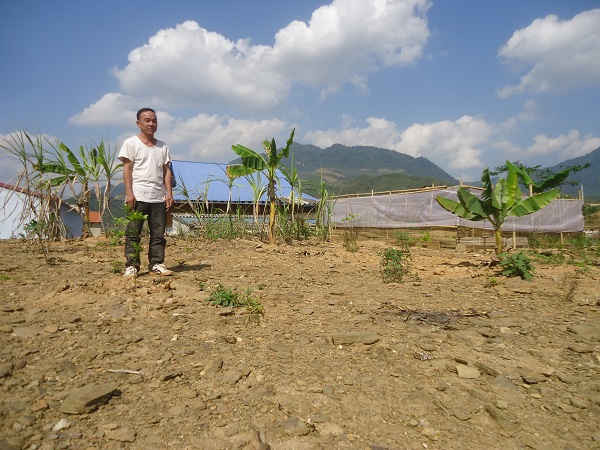 Phần đất được chia cho gia đình bác Phạm Bá Lâm, 55 tuổi, khu Pom Chốn cằn cỗi, sỏi đá rất khó canh tác.
