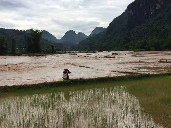 Năm 2016, tỉnh Sơn La thiệt hại hơn 400 tỷ đồng do mưa lũ